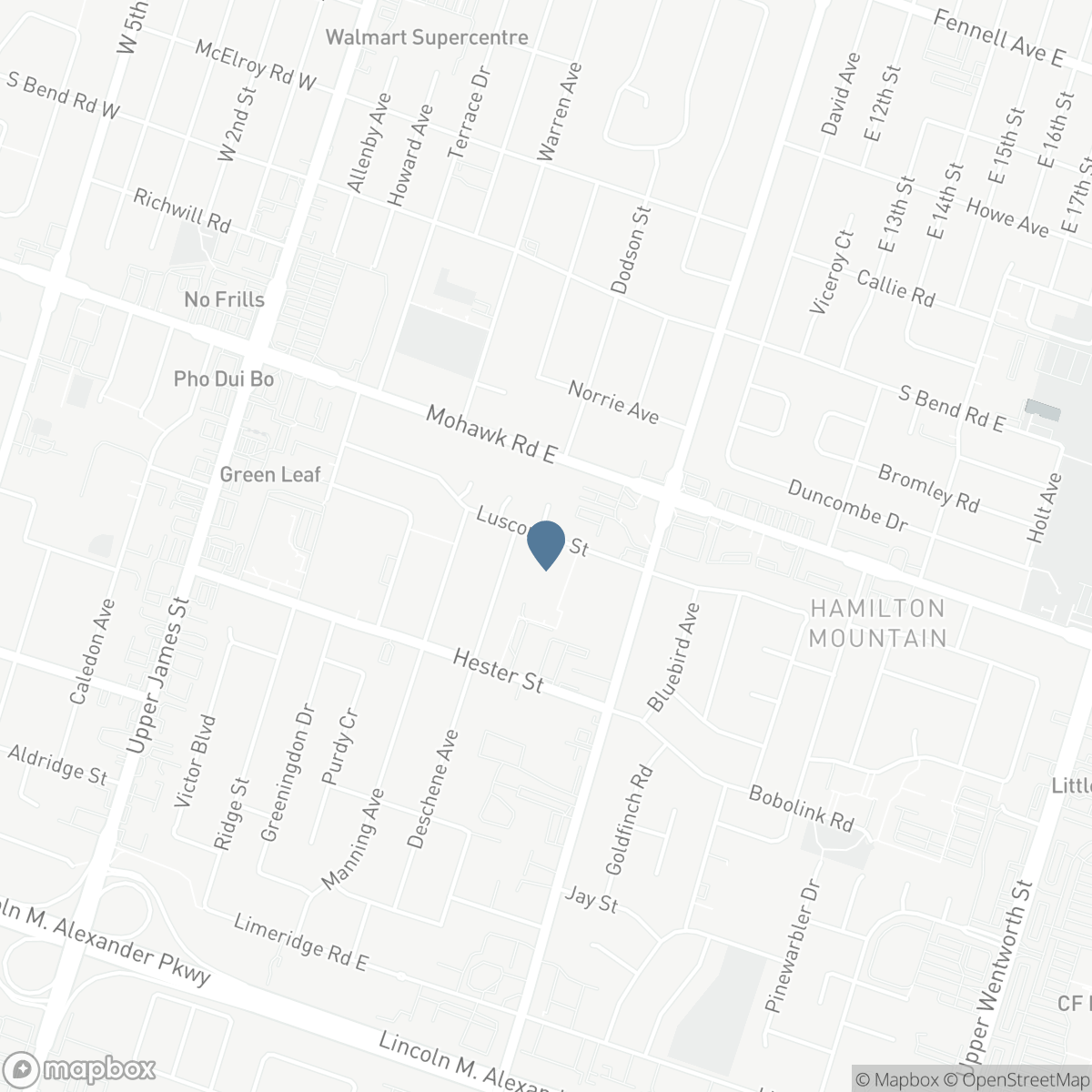138 LUSCOMBE Street, Hamilton, Ontario L9A 2K3
